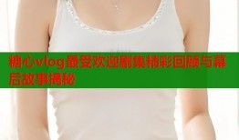 糖心vlog最受欢迎剧集精彩回顾与幕后故事揭秘